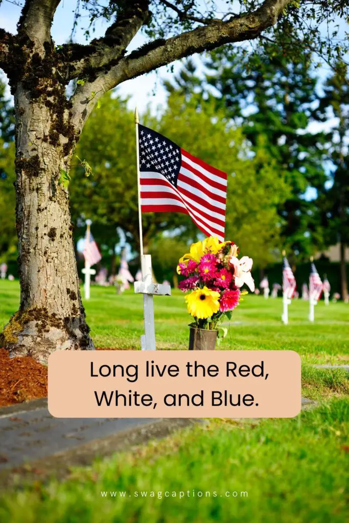 Memorial Day Captions and Quotes