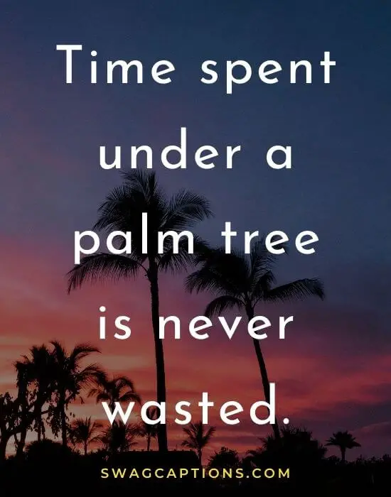 Palm Trees Captions and Quotes for Instagram