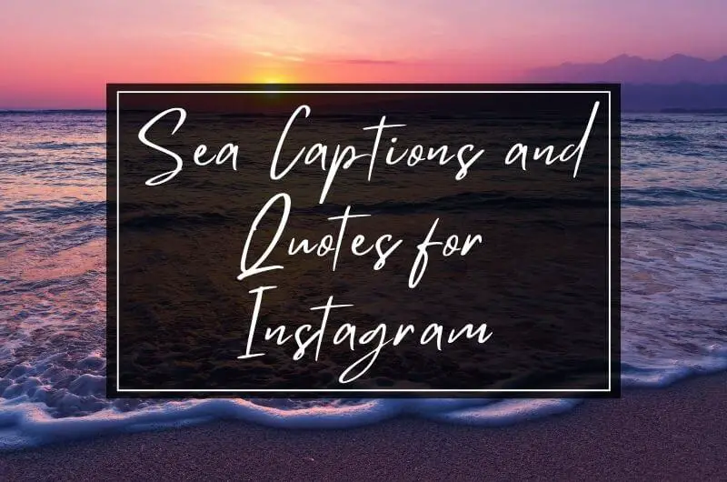 Sea Quotes and Caption for Instagram