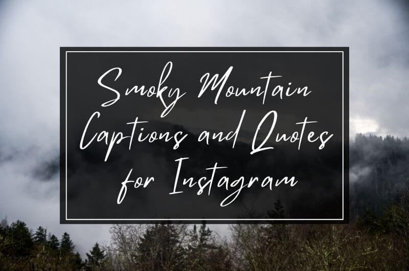 Smoky Quotes and Captions for Instagram