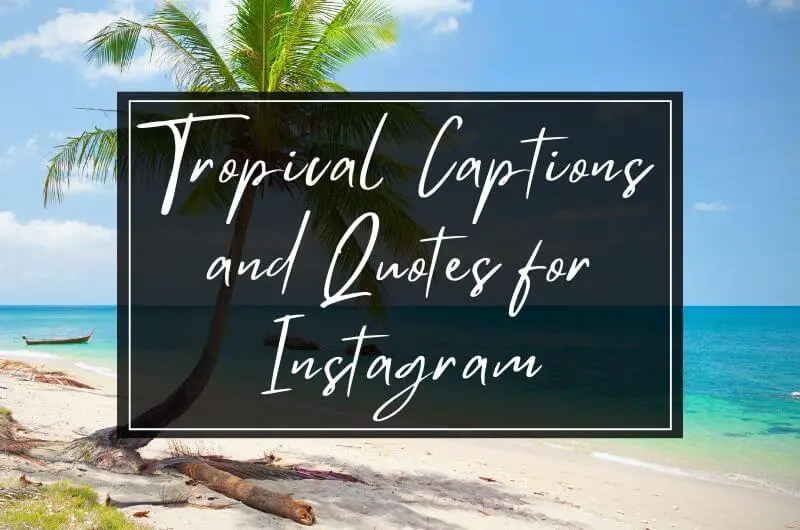 Tropical Quotes and Captions for Instagram