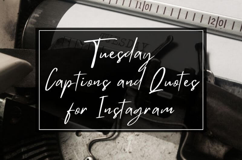 Tuesday Captions and Quotes for Instagram