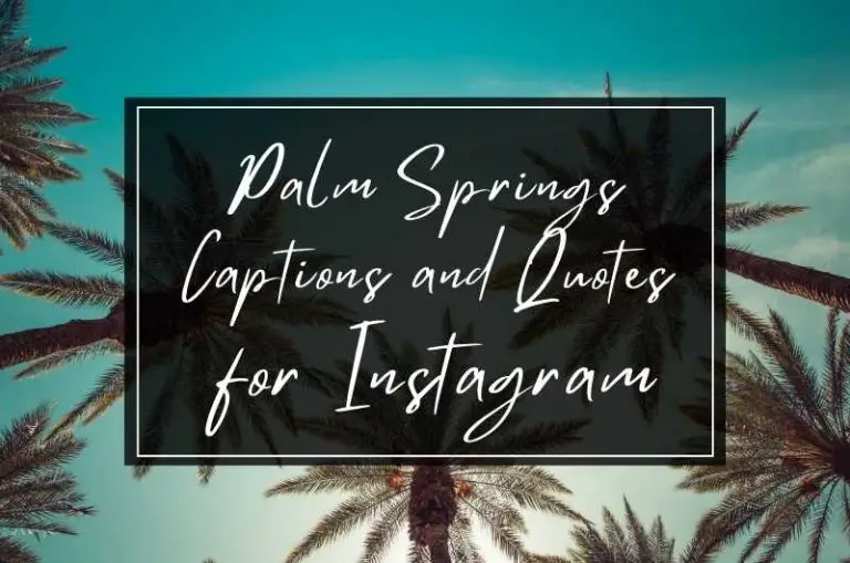 Palm Springs Captions and Quotes for Instagram