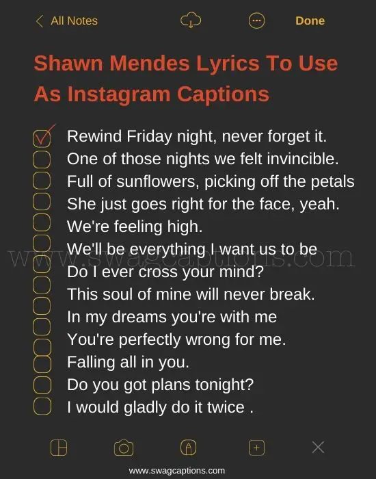 Shawn Mendes Lyrics for Instagram Captions