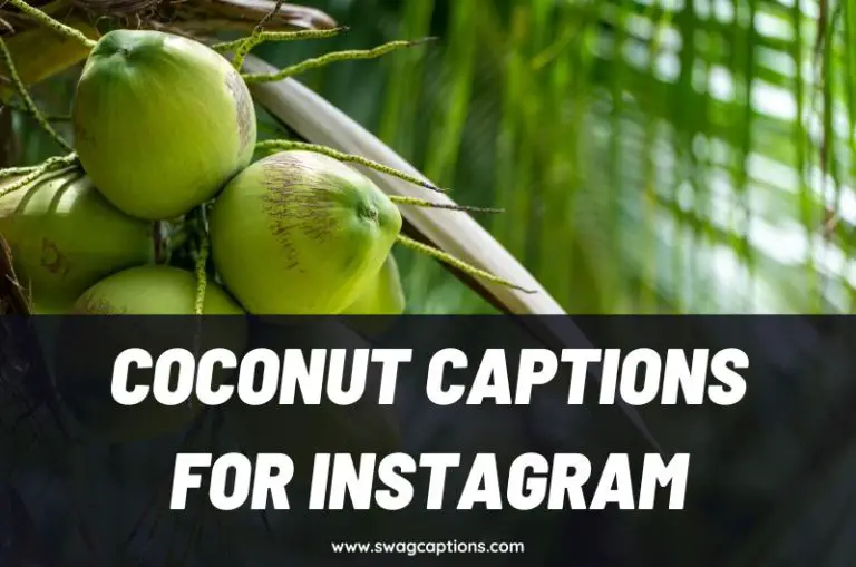 Coconut Captions and Quotes for Instagram