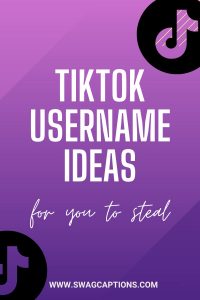 BEST TikTok Usernames Ideas For You To Steal In 2024