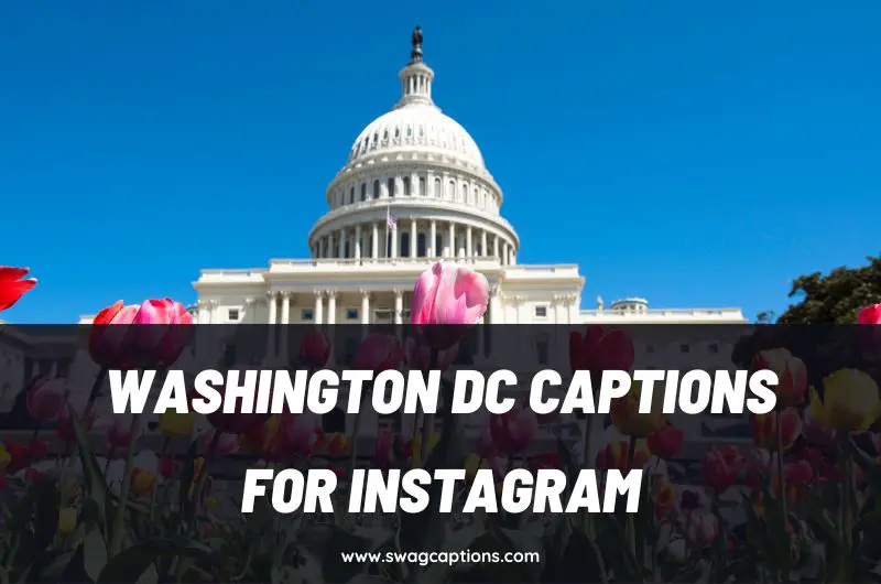 Washington DC Captions and Quotes for Instagram