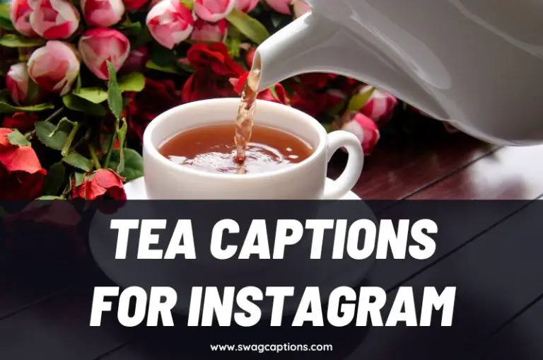 Tea Captions and Quotes for Instagram