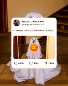 250+ Halloween Captions For Instagram Photos In 2026🎃