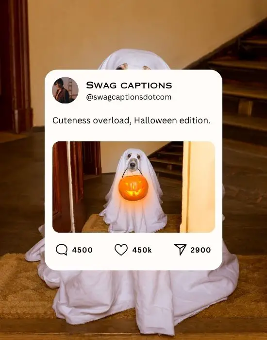 Halloween captions Instagram