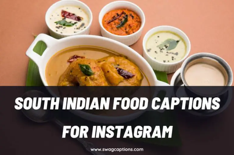 South Indian Food Captions and Quotes for Instagram