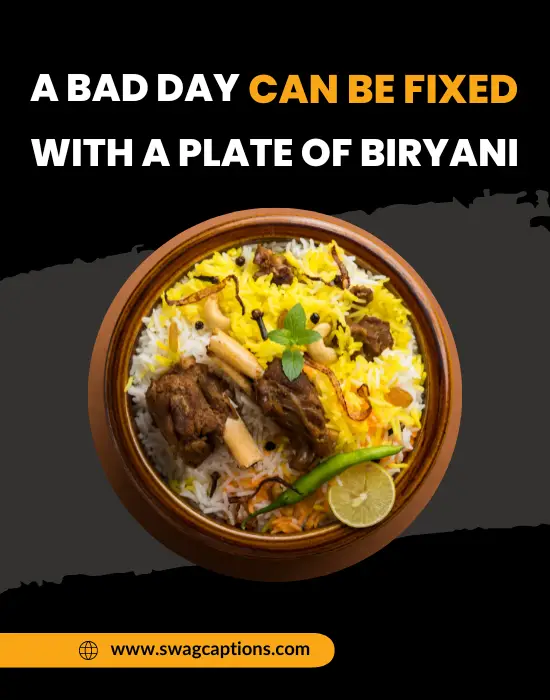 A bad day can be fixed with a plate of biryani