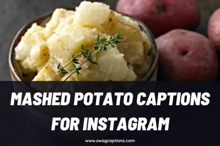 Mashed Potato Captions And Quotes For Instagram