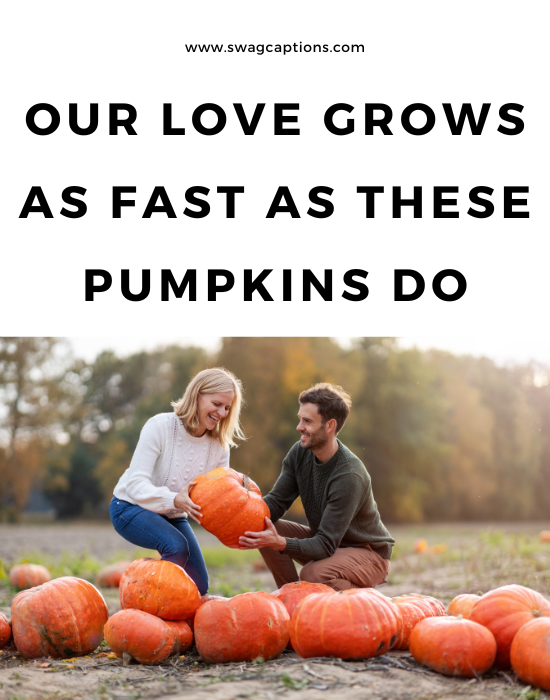 Pumpkin Patch Captions And Quotes For Instagram