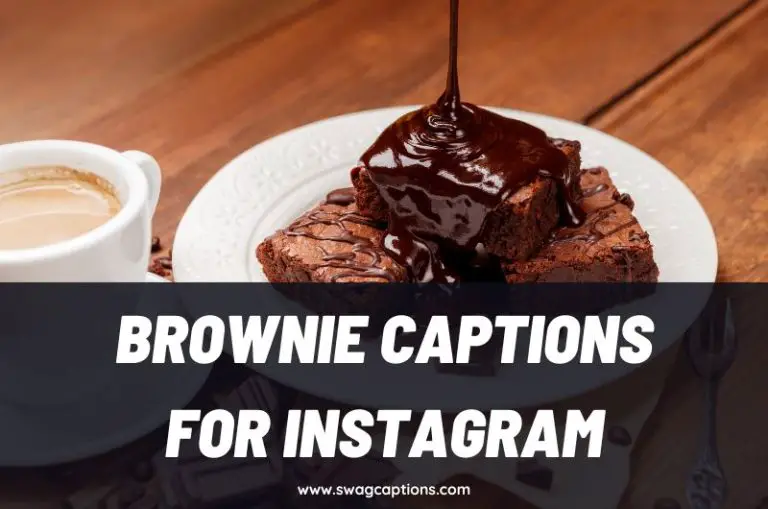 Brownie Captions And Quotes For Instagram