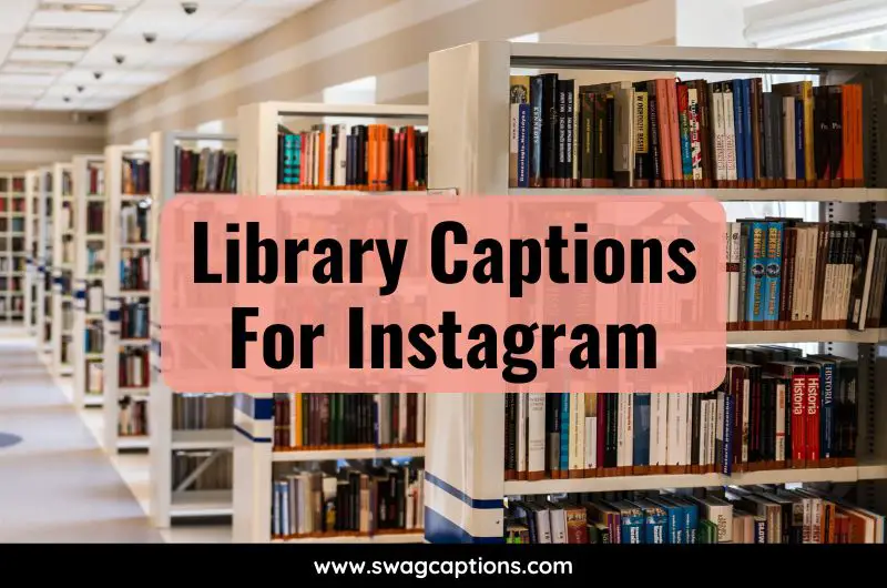 Library Captions And Quotes For Instagram