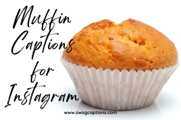 Muffin Captions And Quotes for Instagram