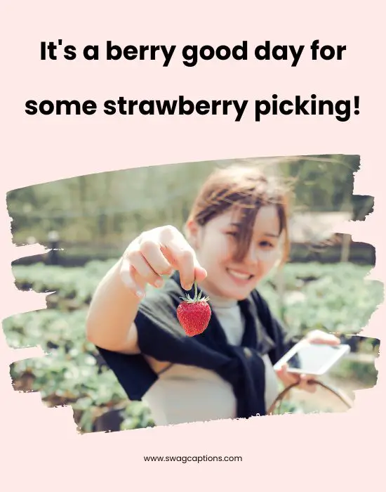 Strawberry Captions And Quotes For Instagram