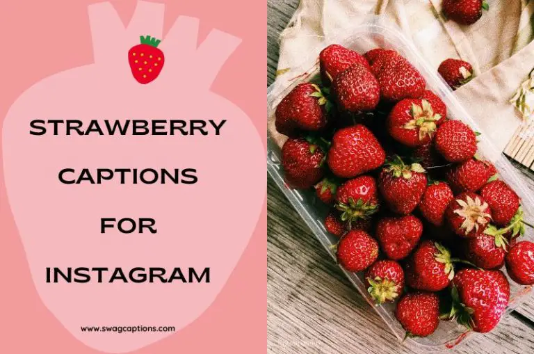 Strawberry Captions And Quotes For Instagram