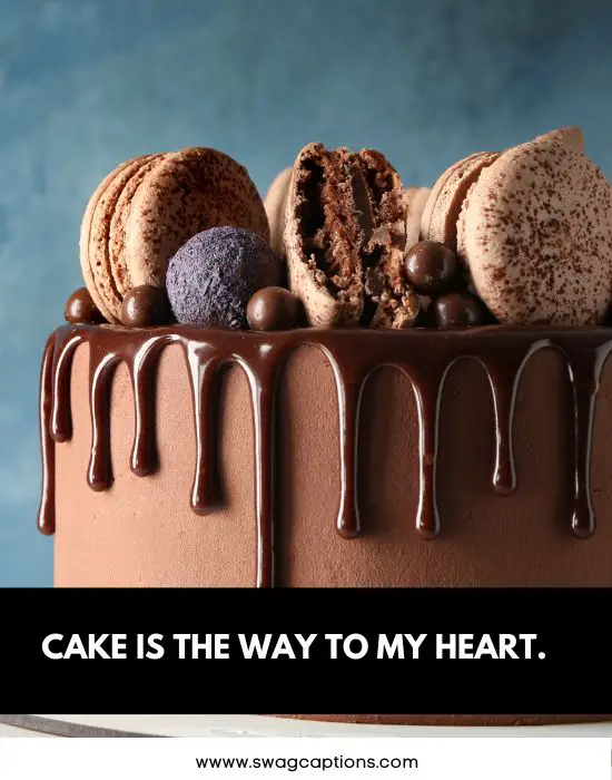 Chocolate Cake Captions