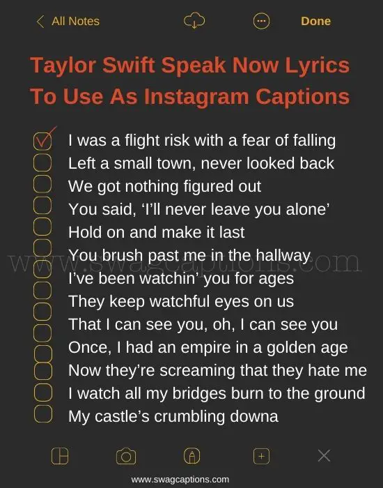 Taylor Swift Speak Now Lyrics Captions for Instagram