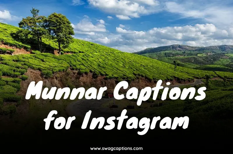 Munnar Captions for Instagram