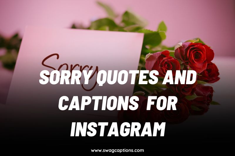 sorry quotes and captions for Instagram
