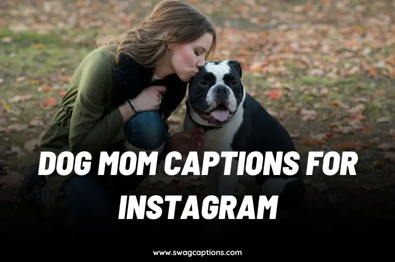 Dog mom Captions for Instagram