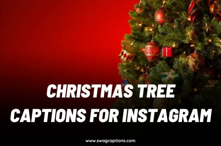 150+ Christmas Tree Captions & Quotes For Instagram In 2024