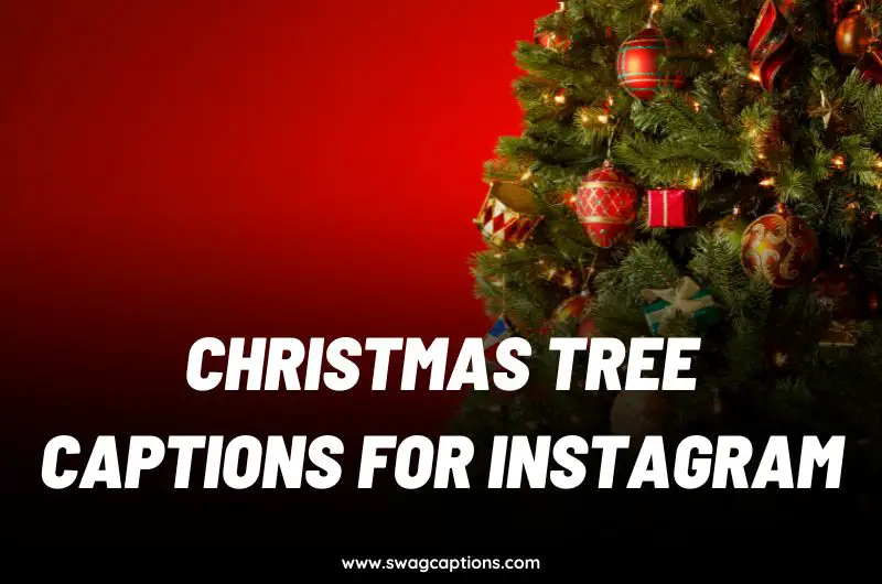 Christmas Tree captions and quotes for Instagram