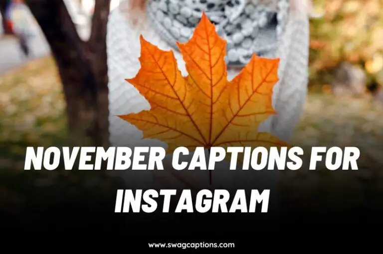 November Captions and Quotes for Instagram