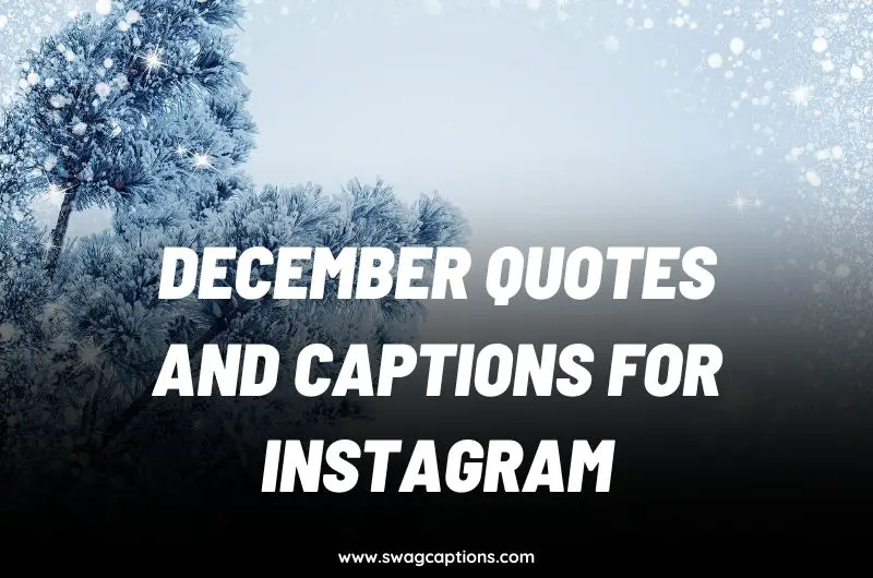 December Quotes and captions for instagram