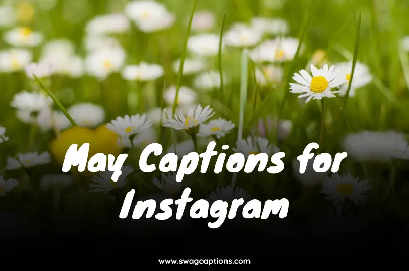 Aesthetic May Instagram Captions: Short, Artsy Flower Quotes