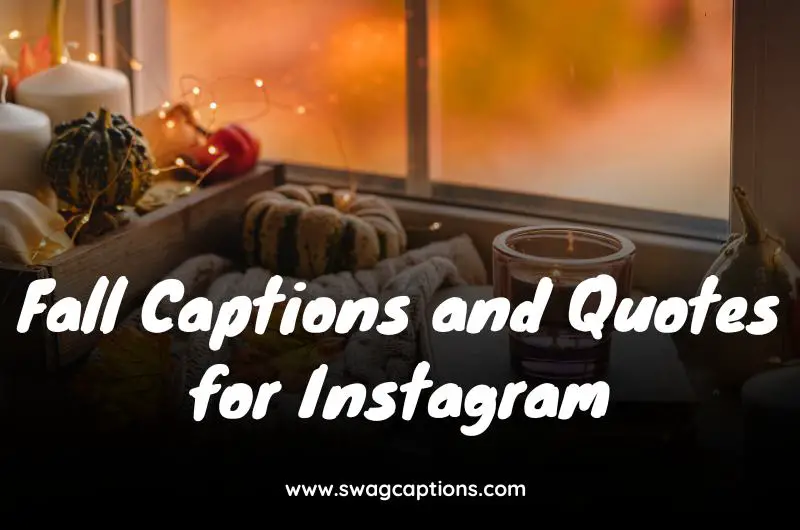 Fall Captions and Quotes for Instagram