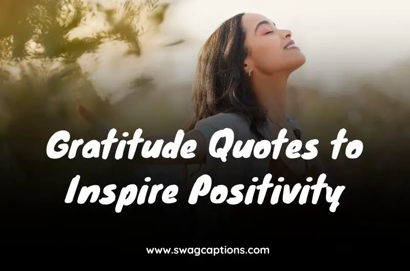 Gratitude Quotes to Inspire Positivity