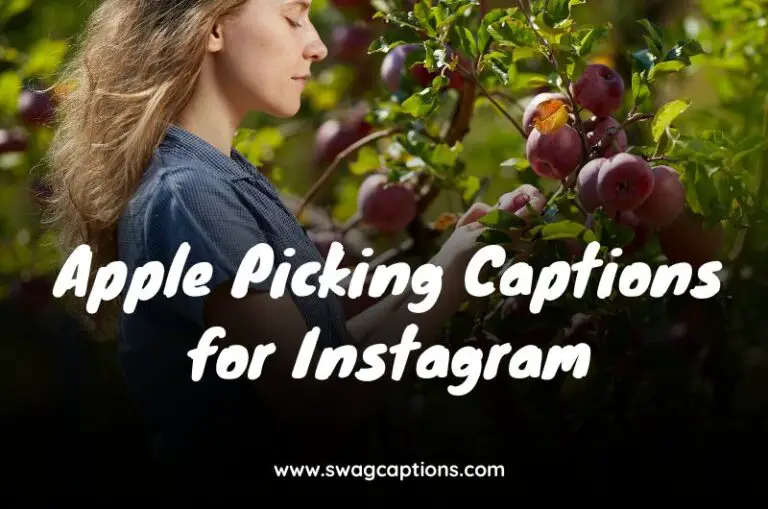 Apple Picking Captions for Instagram