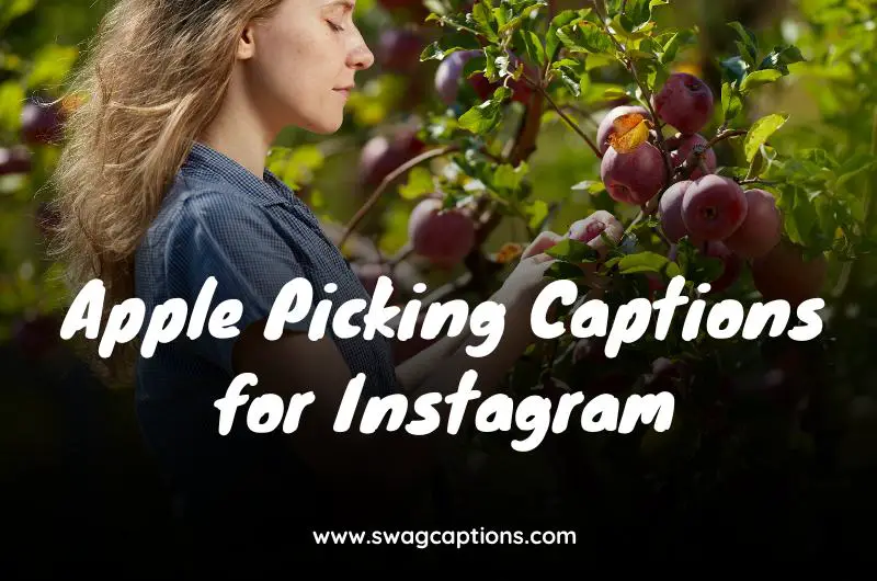 Apple Picking Captions for Instagram