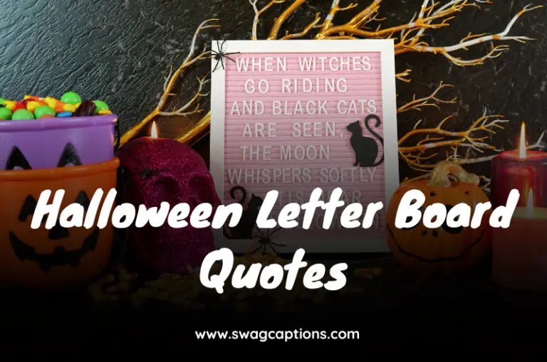 Halloween Letter Board Quotes