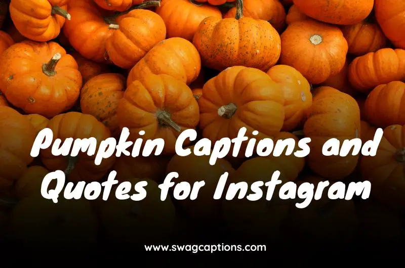 Pumpkin Captions and Quotes for Instagram