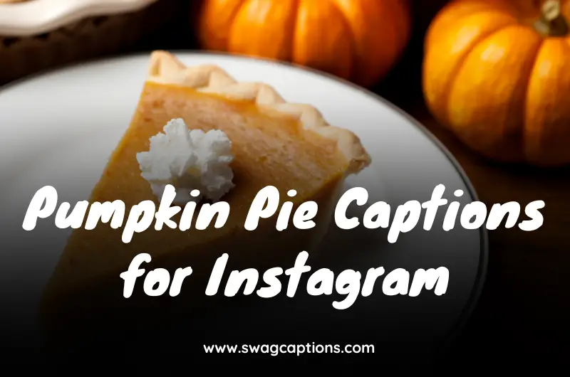 Pumpkin Pie Captions