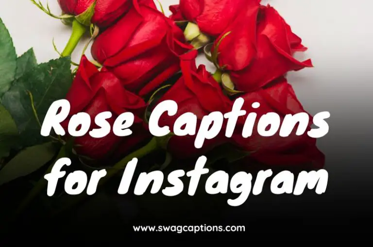 Rose Captions