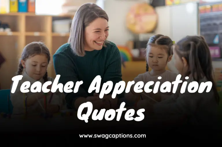 Teacher Appreciation Quotes