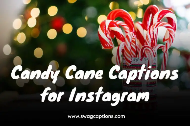 Candy Cane Captions for Instagram