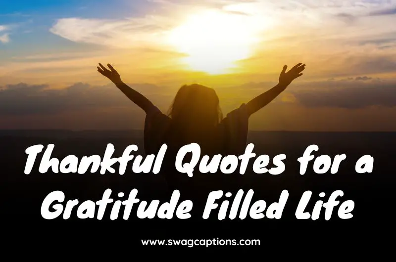 Thankful Quotes for A Gratitude Filled Life