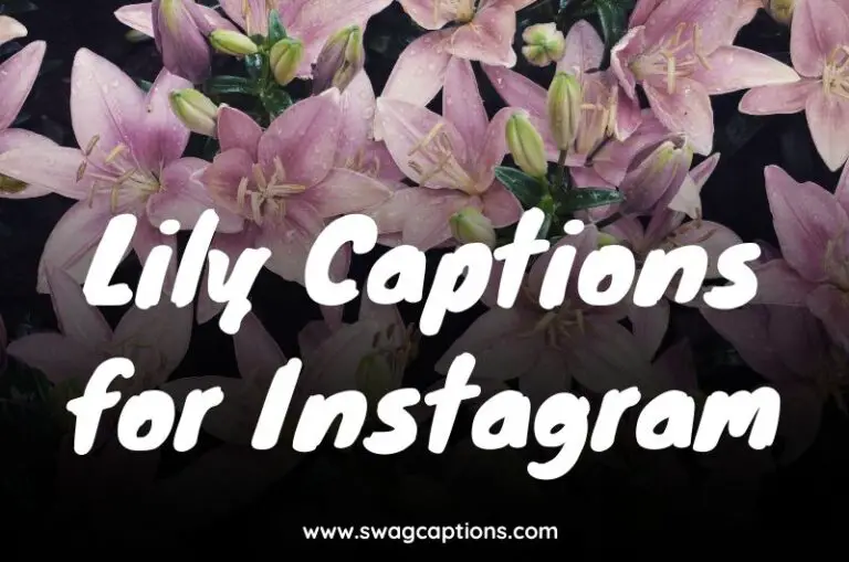 Lily Captions for Instagram