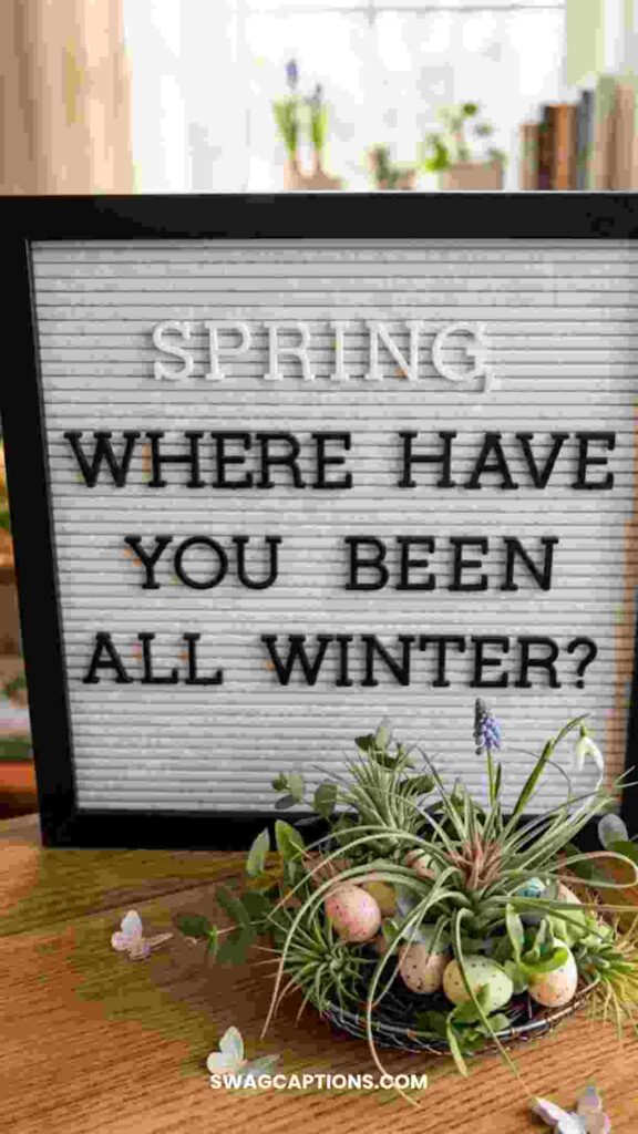 Spring Letterboard quotes
