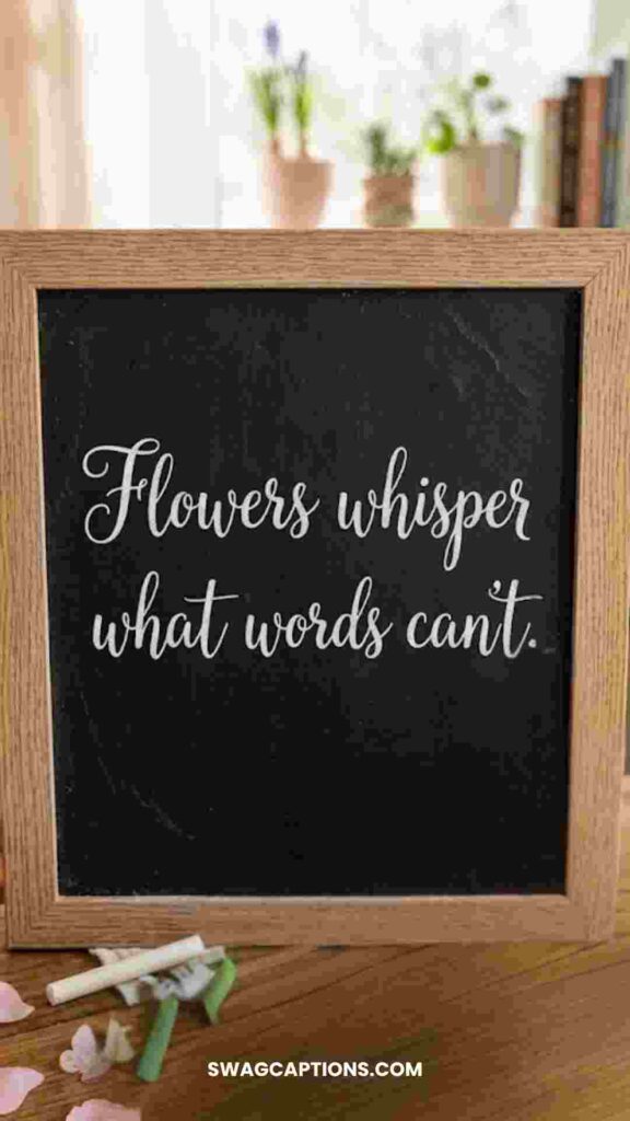 Spring Letterboard quotes