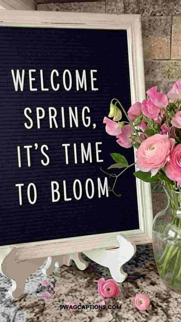 Spring Letterboard quotes