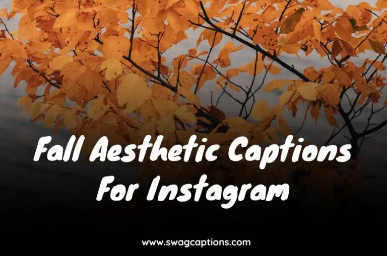 Fall Aesthetic Captions For Instagram