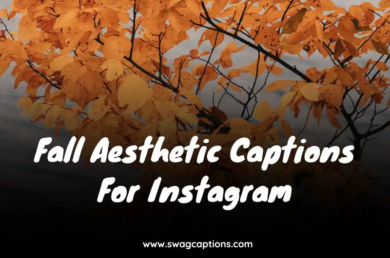 Fall Aesthetic Captions For Instagram